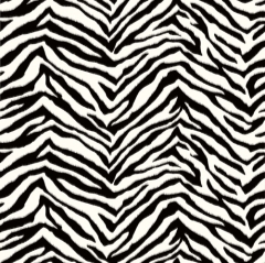 GIR95503 Zebra Zen